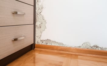 The corner of a room where mold has begun to spread from the floor and walls