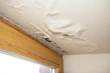 Water damage has stripped the paint off of a ceiling, revealing the first signs of mold damage