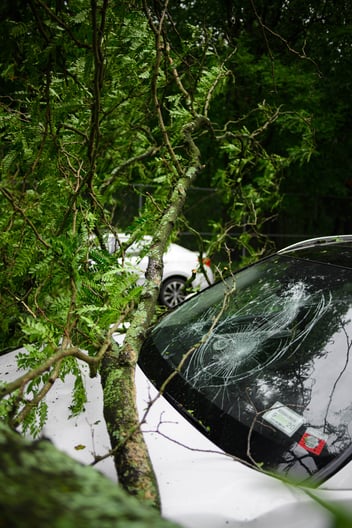 A car with a smashed windshield after a storm