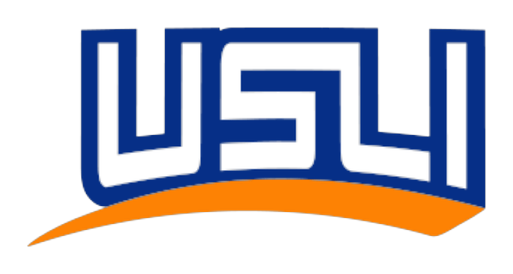 USLI Insurance Claims