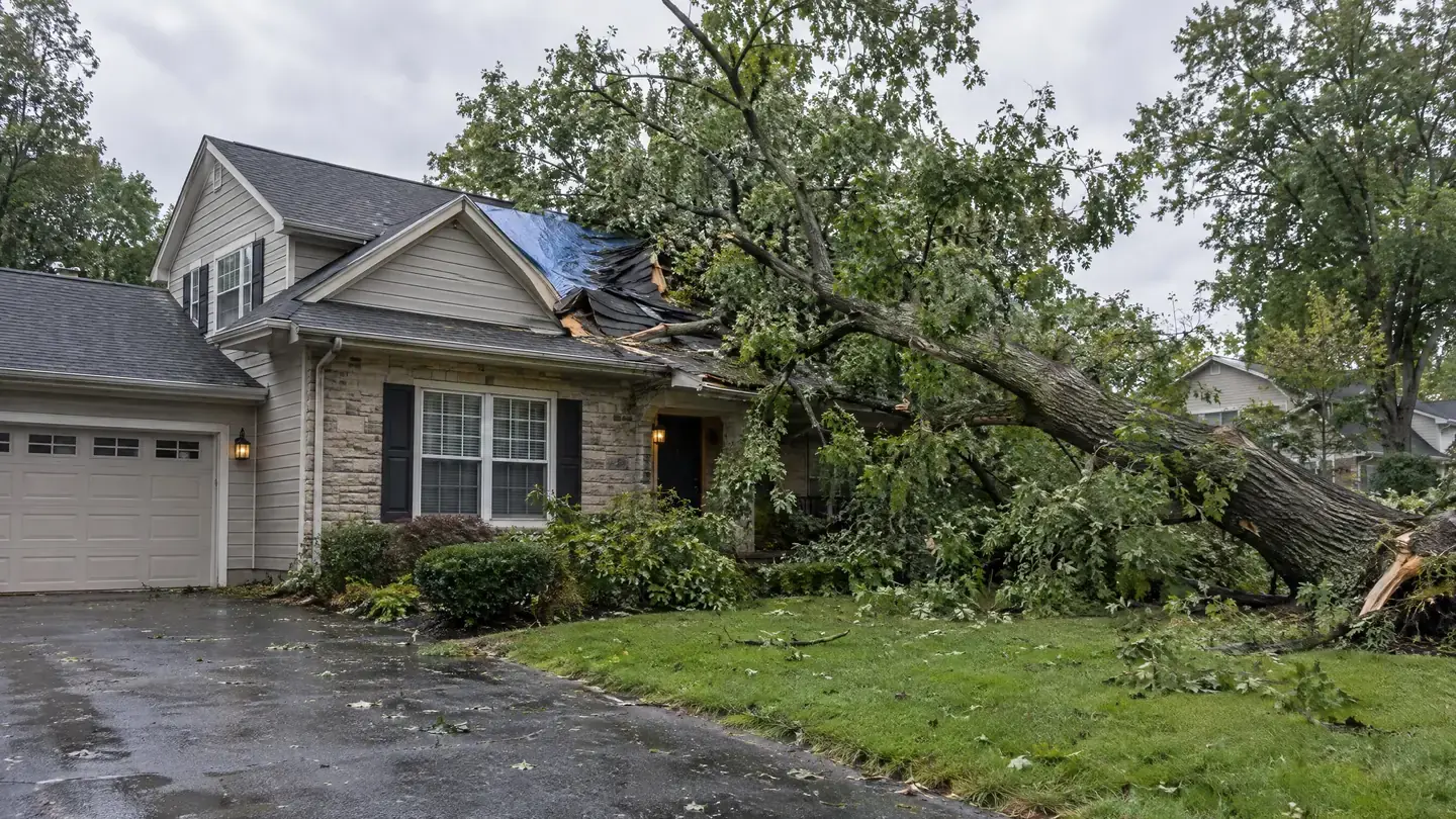 Tree on home residential damage