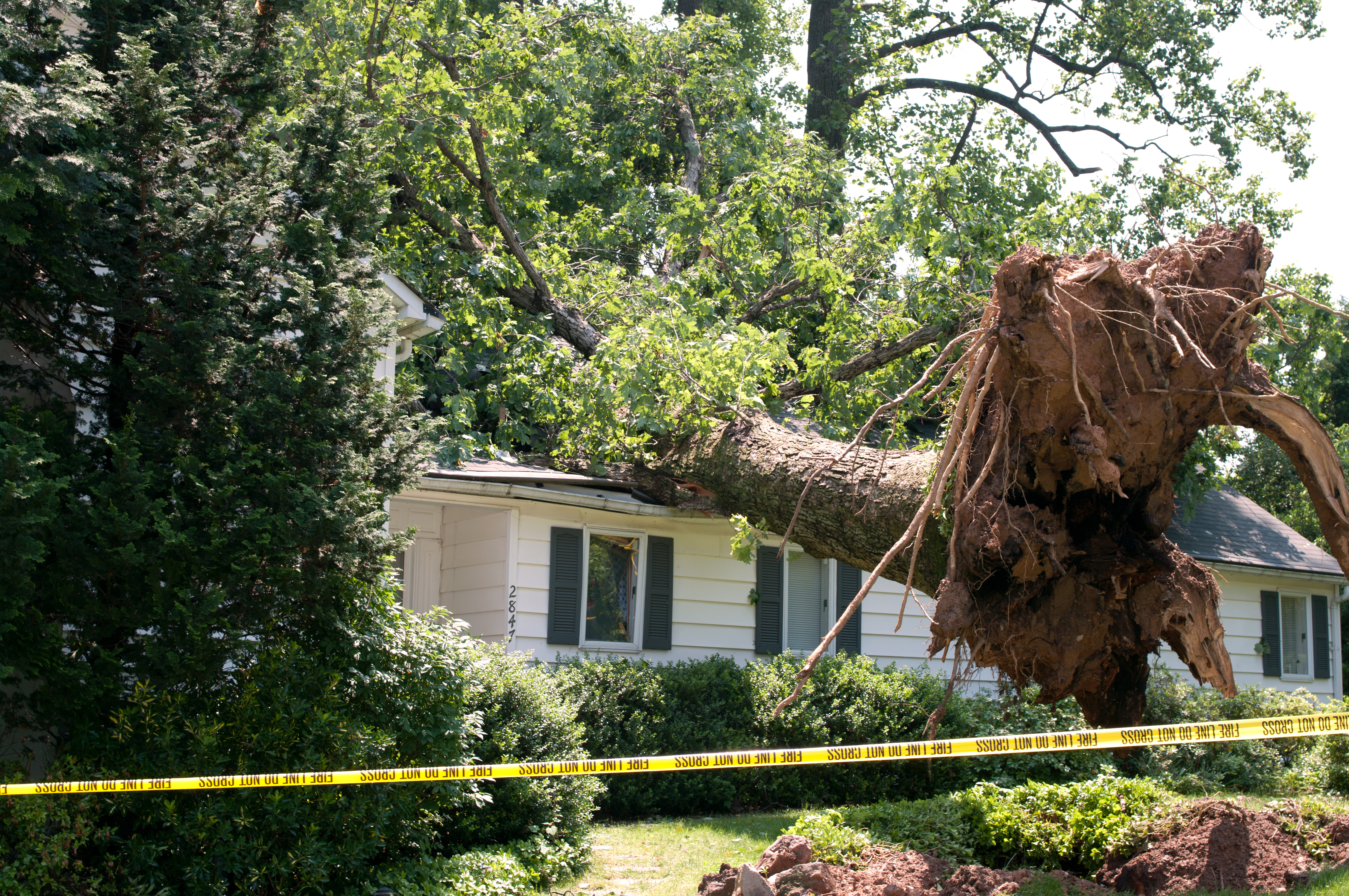 wind damage